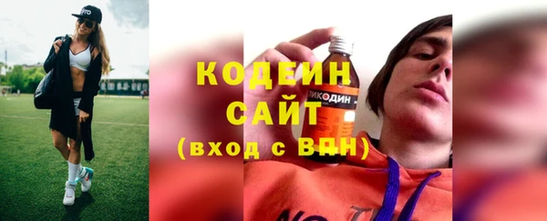 МДПВ Пересвет