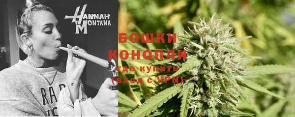 мдпв Пестово