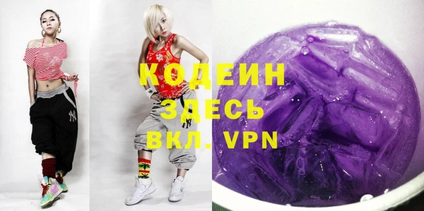 мдпв Пестово