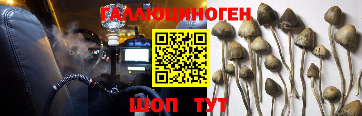 Галлюциногенные грибы прущие грибы Майский